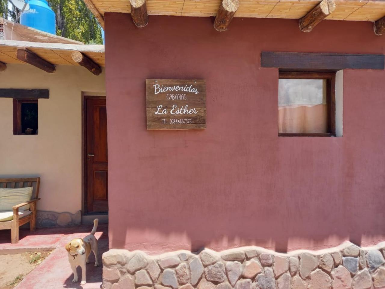 Cabanas La Esther Tilcara Esterno foto